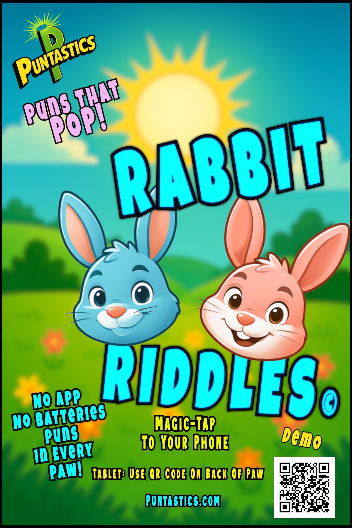 Rabbit Riddles Insert Back