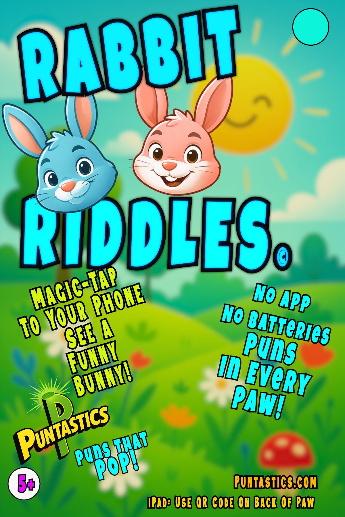 Rabbit Riddles Insert Front